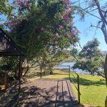 A veranda looking out to a flowing river, with pink flowers on the tree. Beautiful blue skies